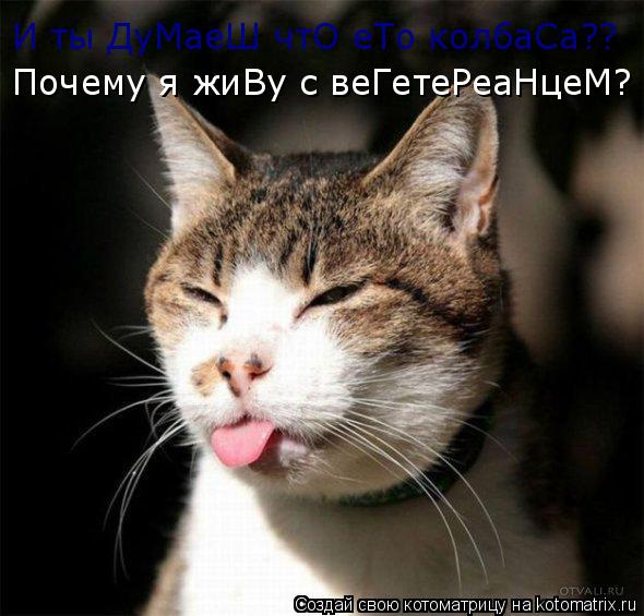 И ты ДуМаеШ чтО еТо колбаСа?? Почему я жиВу с веГетеРеаНцеМ?... Котоматрица: И ты ДуМаеШ чтО еТо колбаСа?? Почему я жиВу с веГетеРеаНцеМ?