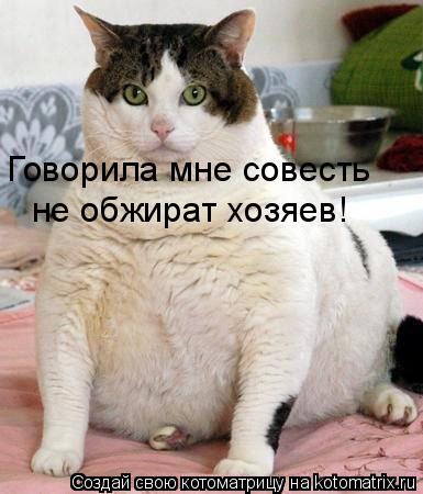 Говорила мне совесть не обжират хозяев!... Котоматрица: Говорила мне совесть не обжират хозяев!