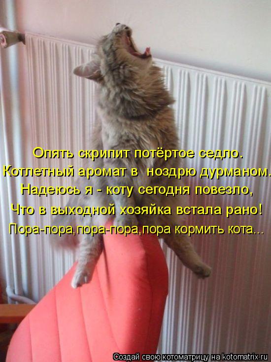 Опять скрипит потёртое седло. Котлетный аромат в ноздрю дурманом. Надеюсь я - коту сегодня повезло, ... Котоматрица: Опять скрипит потёртое седло. Котлетный аромат в ноздрю дурманом. Надеюсь я - коту сегодня повезло, Что в выходной хозяйка встала рано! Пора