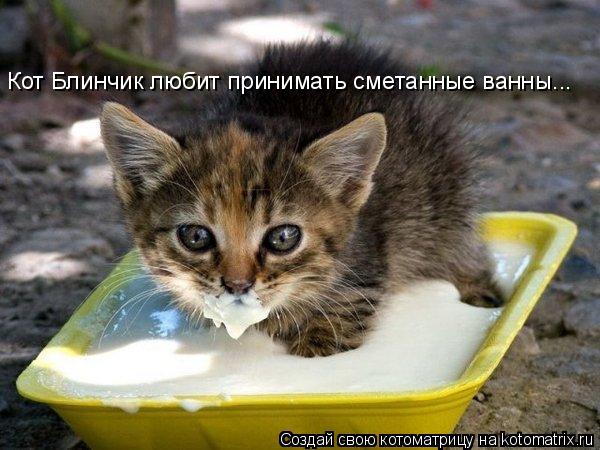 Котоматрица: Кот Блинчик любит принимать сметанные ванны...