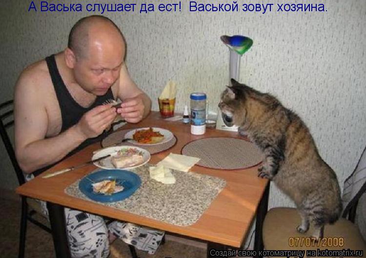 А Васька слушает да ест! Васькой зовут хозяина.... Котоматрица: А Васька слушает да ест! Васькой зовут хозяина.
