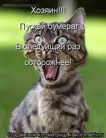 Хозяин!!! Хозяин!!! Пускай бумераг В следуйщий раз осторожнее!... Котоматрица: Хозяин!!! Хозяин!!! Пускай бумераг В следуйщий раз осторожнее!