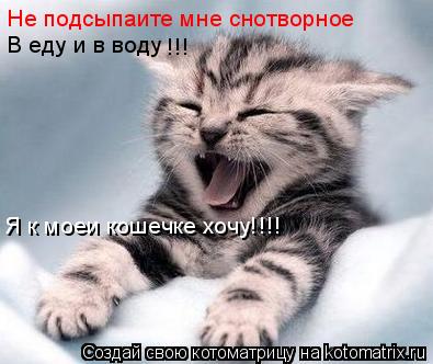 Не подсыпаите мне снотворное В еду и в воду !!! Я к моеи кошечке хочу!!!!... Котоматрица: Не подсыпаите мне снотворное В еду и в воду !!! Я к моеи кошечке хочу!!!!