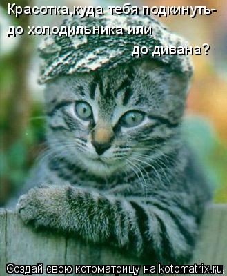 Красотка,куда тебя подкинуть- до холодильника или до дивана?... Котоматрица: Красотка,куда тебя подкинуть- до холодильника или до дивана?