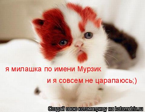 я милашка по имени Мурзик и я совсем не царапаюсь;)... Котоматрица: я милашка по имени Мурзик и я совсем не царапаюсь;)