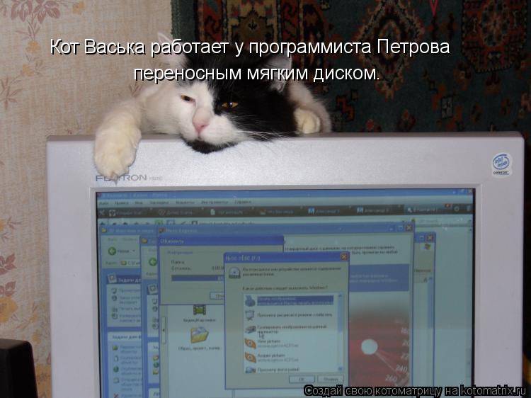Кот Васька работает у программиста Петрова переносным мягким диском.... Котоматрица: Кот Васька работает у программиста Петрова переносным мягким диском.