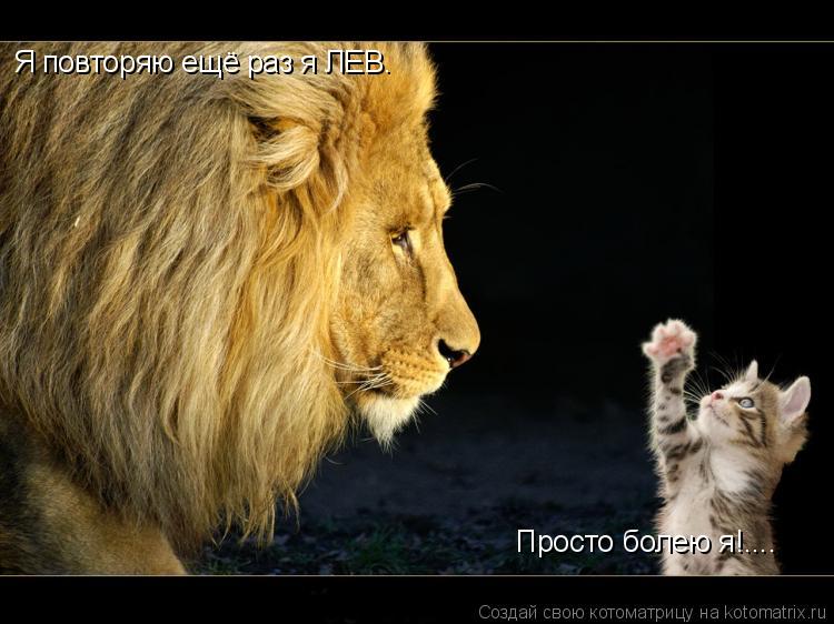 Я повторяю ещё раз я ЛЕВ. Просто болею я!....... Котоматрица: Я повторяю ещё раз я ЛЕВ. Просто болею я!....