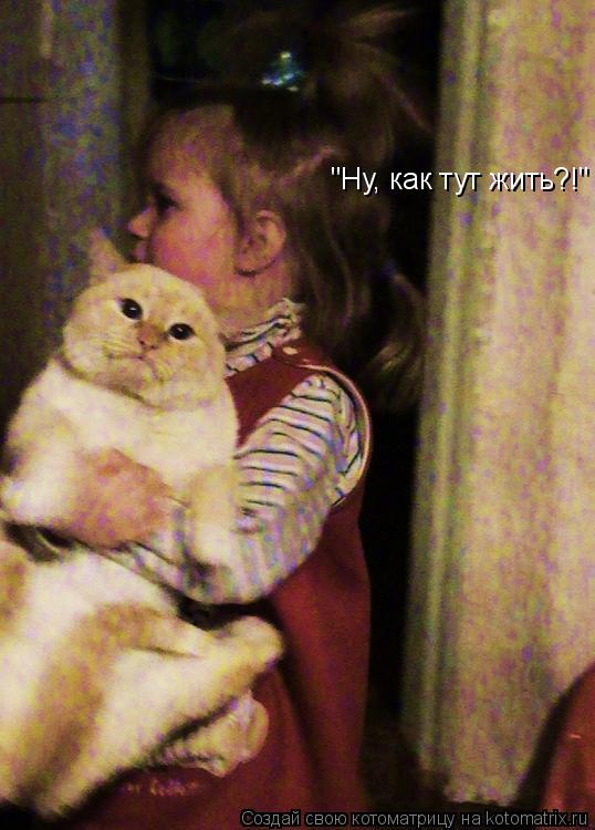 "Ну, как тут жить?!"... Котоматрица: "Ну, как тут жить?!"