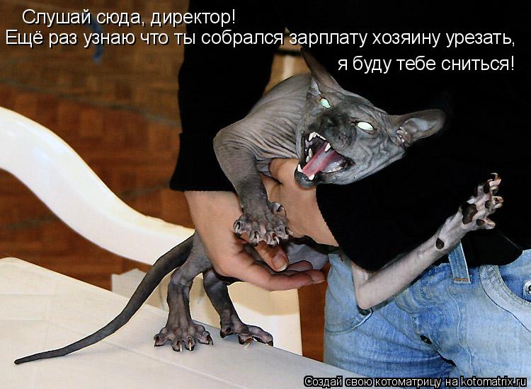 Слушай сюда, директор! Ещё раз узнаю что ты собрался зарплату хозяину урезать, я буду тебе сниться!... Котоматрица: Слушай сюда, директор! Ещё раз узнаю что ты собрался зарплату хозяину урезать, я буду тебе сниться!