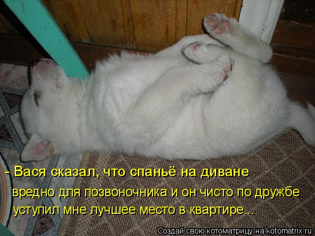 - Вася сказал, что спаньё на диване вредно для позвоночника и он чисто по дружбе уступил мне лучшее м... Котоматрица: - Вася сказал, что спаньё на диване вредно для позвоночника и он чисто по дружбе уступил мне лучшее место в квартире...