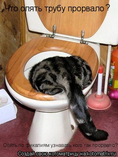 Что опять трубу прорвало ? Опять по фикалиям узнавать кого так прорвало?... Котоматрица: Что опять трубу прорвало ? Опять по фикалиям узнавать кого так прорвало?
