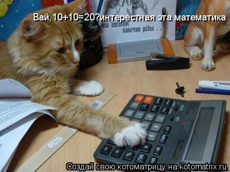 Вай,10+10=20?интерестная эта математика... Котоматрица: Вай,10+10=20?интерестная эта математика