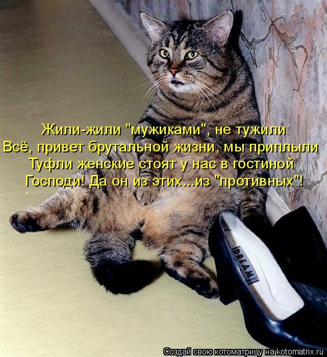 Жили-жили "мужиками", не тужили Всё, привет брутальной жизни, мы приплыли Туфли женские стоят у нас в... Котоматрица: Жили-жили "мужиками", не тужили Всё, привет брутальной жизни, мы приплыли Туфли женские стоят у нас в гостиной Господи! Да он из этих...из "прот