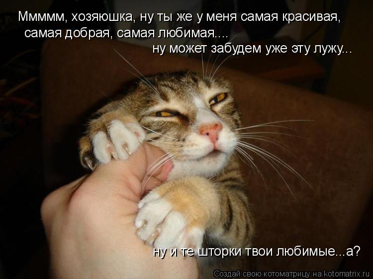 Ммммм, хозяюшка, ну ты же у меня самая красивая, самая добрая, самая любимая.... ну может забудем уж... Котоматрица: Ммммм, хозяюшка, ну ты же у меня самая красивая, самая добрая, самая любимая.... ну может забудем уже эту лужу... ну и те шторки твои любимые...а?
