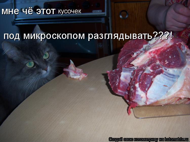 мне чё этот кусочек под микроскопом разглядывать???!... Котоматрица: мне чё этот кусочек под микроскопом разглядывать???!