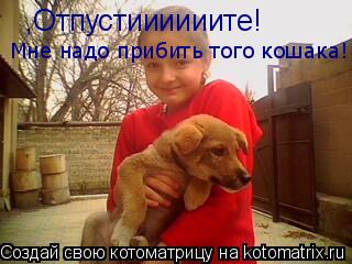 ,Отпустиииииите! Мне надо прибить того кошака!... Котоматрица: ,Отпустиииииите! Мне надо прибить того кошака!