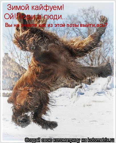 Зимой кайфуем! Ой!Люди,а люди... Вы не знаете как из этой позы выйти,ась?... Котоматрица: Зимой кайфуем! Ой!Люди,а люди... Вы не знаете как из этой позы выйти,ась?