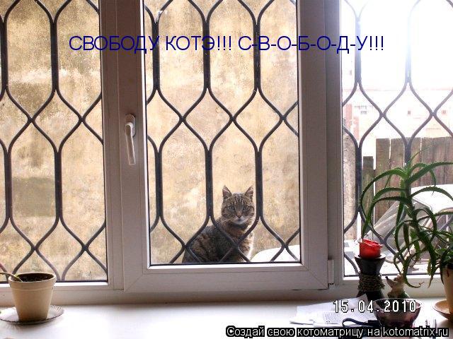СВОБОДУ КОТЭ!!! С-В-О-Б-О-Д-У!!!... Котоматрица: СВОБОДУ КОТЭ!!! С-В-О-Б-О-Д-У!!!