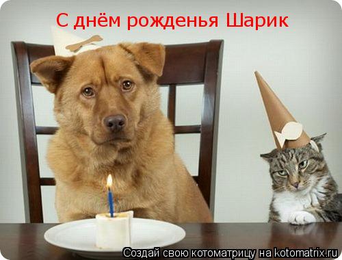 Котоматрица: С днём рожденья Шарик