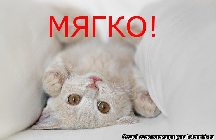 Котоматрица: МЯГКО!