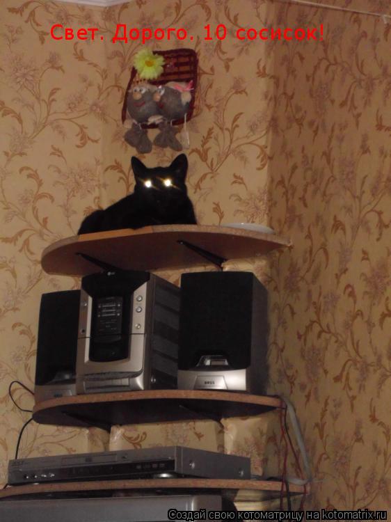 Котоматрица: Свет. Дорого. 10 сосисок!