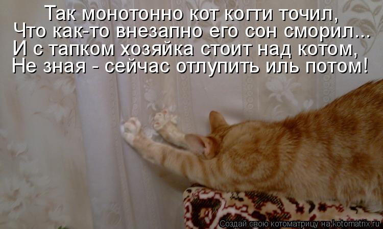 Котоматрица: Так монотонно кот когти точил, Что как-то внезапно его сон сморил... И с тапком хозяйка стоит над котом, Не зная - сейчас отлупить иль потом!