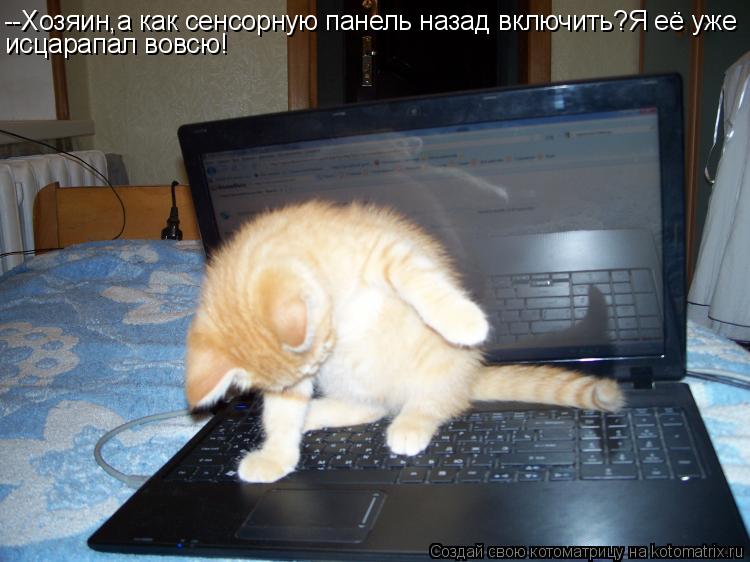 Котоматрица: --Хозяин,а как сенсорную панель назад включить?Я её уже исцарапал вовсю!