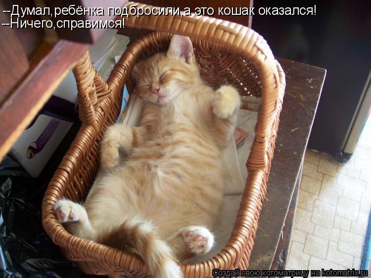 Котоматрица: --Думал,ребёнка подбросили,а это кошак оказался! --Ничего,справимся!