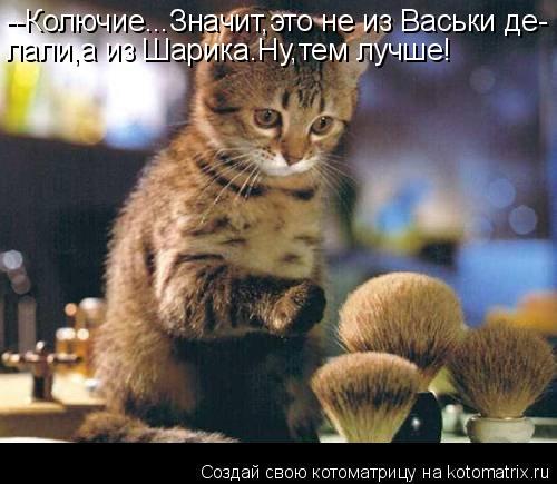 Котоматрица: --Колючие...Значит,это не из Васьки де- лали,а из Шарика.Ну,тем лучше!