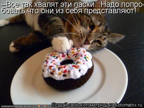Котоматрица: --Все так хвалят эти пасхи...Надо попро- бовать,что они из себя представляют!