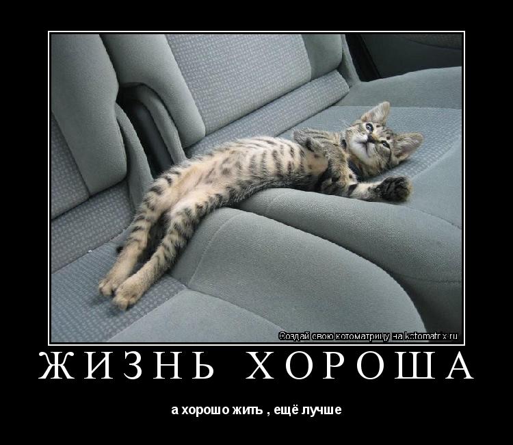 Котоматрица: жизнь хороша а хорошо жить , ещё лучше