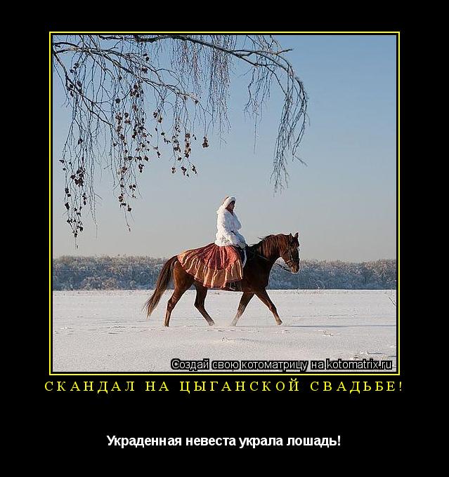 Скандал на цыганской свадьбе! Украденная невеста украла лошадь!... Котоматрица: Скандал на цыганской свадьбе! Украденная невеста украла лошадь!