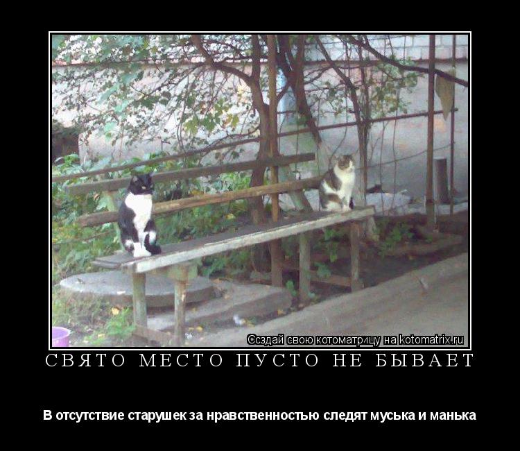 Котоматрица: СВЯТО МЕСТО ПУСТО НЕ БЫВАЕТ В отсутствие старушек за нравственностью следят муська и манька