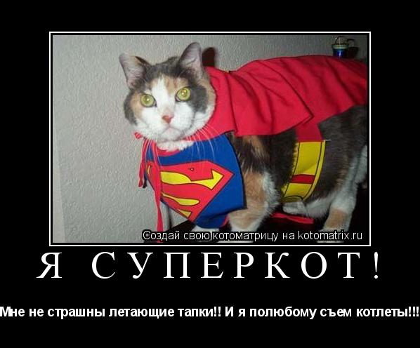 Котоматрица: Я суперкот! Мне не страшны летающие тапки!! И я полюбому съем котлеты!!!