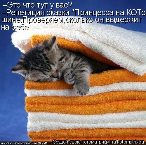 Котоматрица: --Это что тут у вас? --Репетиция сказки "Принцесса на КОТо- шине.Проверяем,сколько он выдержит на себе!