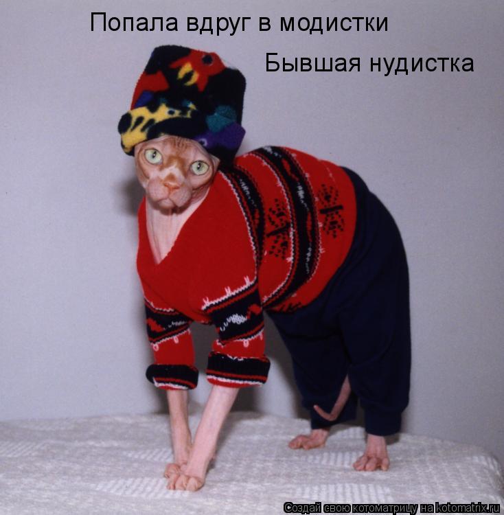 Котоматрица: Попала вдруг в модистки Бывшая нудистка