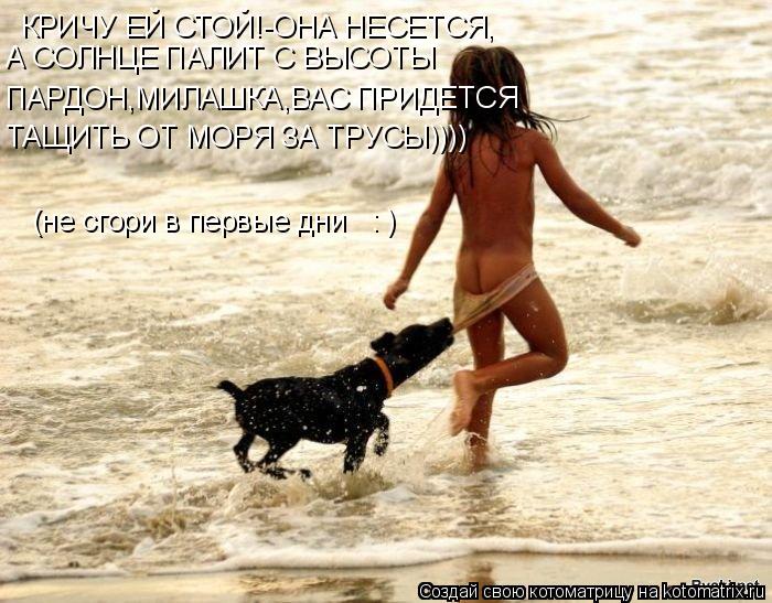 Котоматрица: КРИЧУ ЕЙ СТОЙ!-ОНА НЕСЕТСЯ, А СОЛНЦЕ ПАЛИТ С ВЫСОТЫ ПАРДОН,МИЛАШКА,ВАС ПРИДЕТСЯ ТАЩИТЬ ОТ МОРЯ ЗА ТРУСЫ)))) (не сгори в первые дни   : )