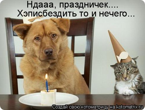 Котоматрица: Ндааа, праздничек.... Хэписбездить то и нечего...