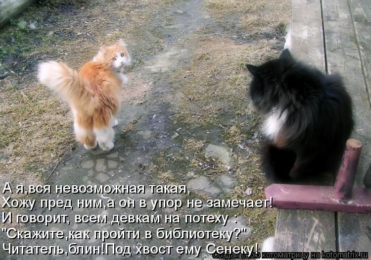 А я,вся невозможная такая, Читатель,блин!Под хвост ему Сенеку! Хожу пред ним,а он в упор не замечает!... Котоматрица: А я,вся невозможная такая, Читатель,блин!Под хвост ему Сенеку! Хожу пред ним,а он в упор не замечает! И говорит, всем девкам на потеху : "Скажит