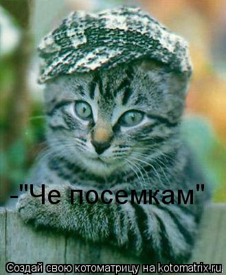 Котоматрица: -"Че посемкам"