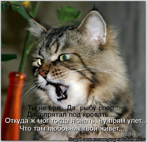 Котоматрица: Ты не ори...Да, рыбу спер... Да, спрятал под кровать...  Откуда ж мог тогда я знать, ну прям улет... Что там любовник твой живет...