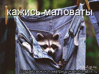Котоматрица: кажись маловаты