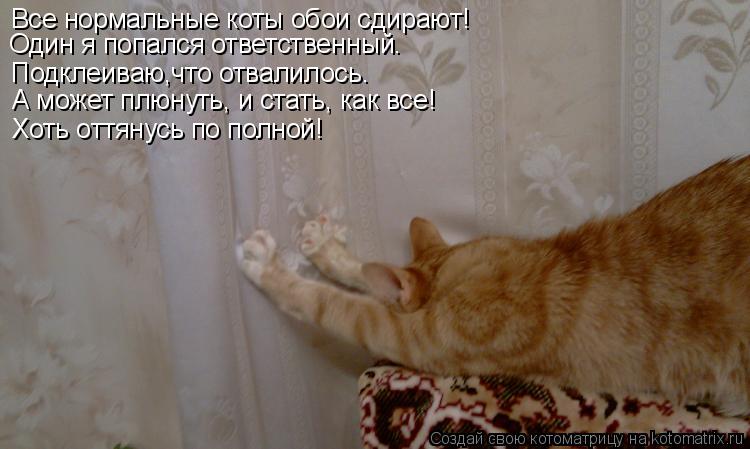 Все нормальные коты обои сдирают! Хоть оттянусь по полной! Подклеиваю,что отвалилось. Один я попался ... Котоматрица: Все нормальные коты обои сдирают! Хоть оттянусь по полной! Подклеиваю,что отвалилось. Один я попался ответственный. А может плюнуть, и стать