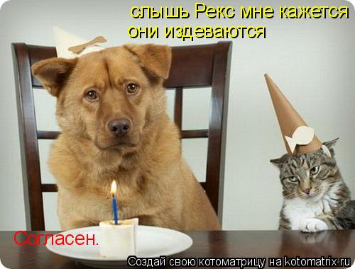 слышь Рекс мне кажется они издеваются Согласен.... Котоматрица: слышь Рекс мне кажется они издеваются Согласен.
