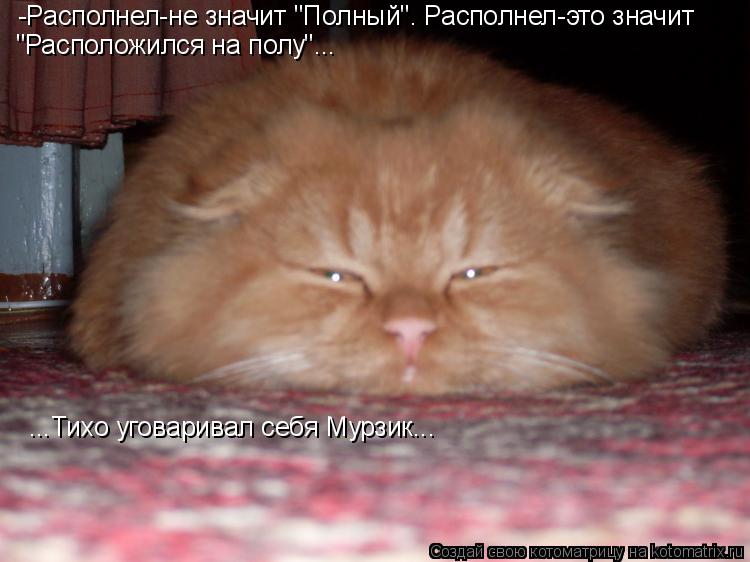 Котоматрица: -Располнел-не значит "Полный". Располнел-это значит "Расположился на полу"... ...Тихо уговаривал себя Мурзик...