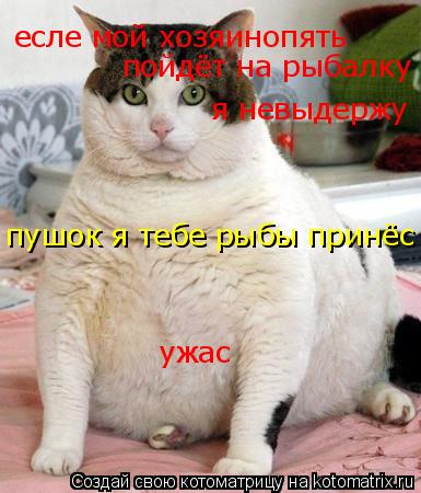 есле мой хозяинопять пойдёт на рыбалку я невыдержу пушок я тебе рыбы принёс ужас... Котоматрица: есле мой хозяинопять пойдёт на рыбалку я невыдержу пушок я тебе рыбы принёс ужас