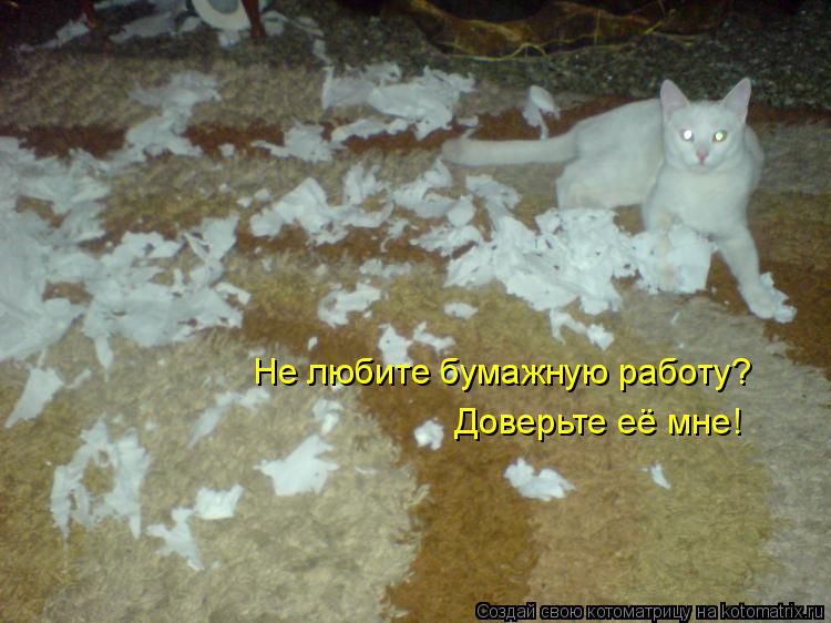 Котоматрица: Не любите бумажную работу? Доверьте её мне!