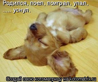 Родился, поел, поиграл, упал, ..... уснул.... Котоматрица: Родился, поел, поиграл, упал, ..... уснул.