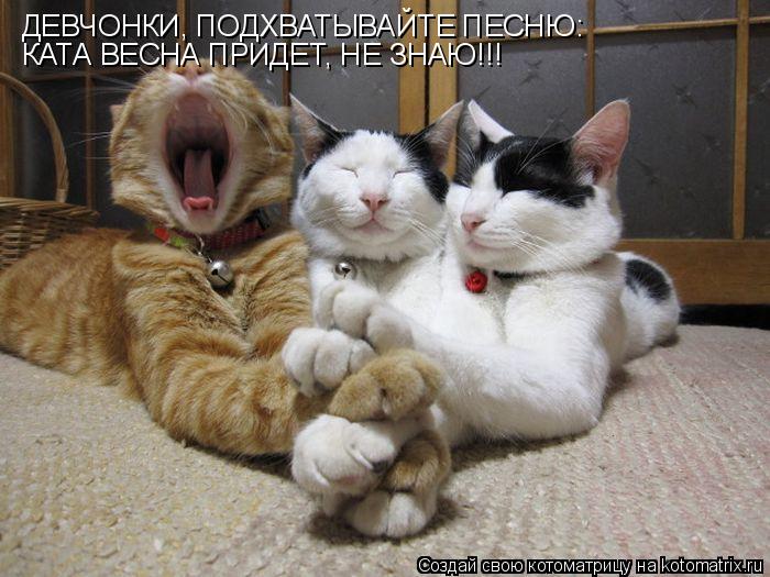 Котоматрица: ДЕВЧОНКИ, ПОДХВАТЫВАЙТЕ ПЕСНЮ: КАТА ВЕСНА ПРИДЕТ, НЕ ЗНАЮ!!!