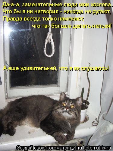 Котоматрица: Да-а-а, замечательные люди мои хозяева.  Что бы я ни натворил - никогда не ругают,   Правда всегда тонко намекают,  что так больше делать нельзя